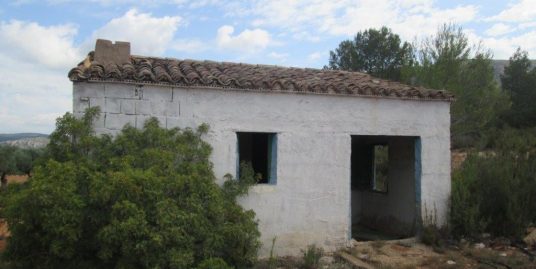 VPS 161 – Development land Jalance