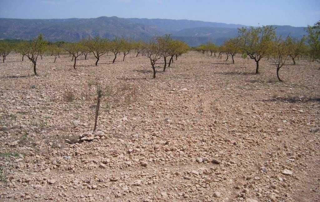 1-5-VPS-052-development-land-Ayora.-6-18-small-flat-Ayora.-19-37-038-1024x768