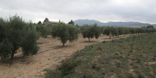 VPS 065 – Land in Caudete