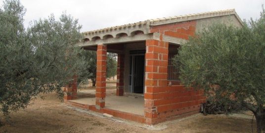 VPS 067 – Country House in Caudete