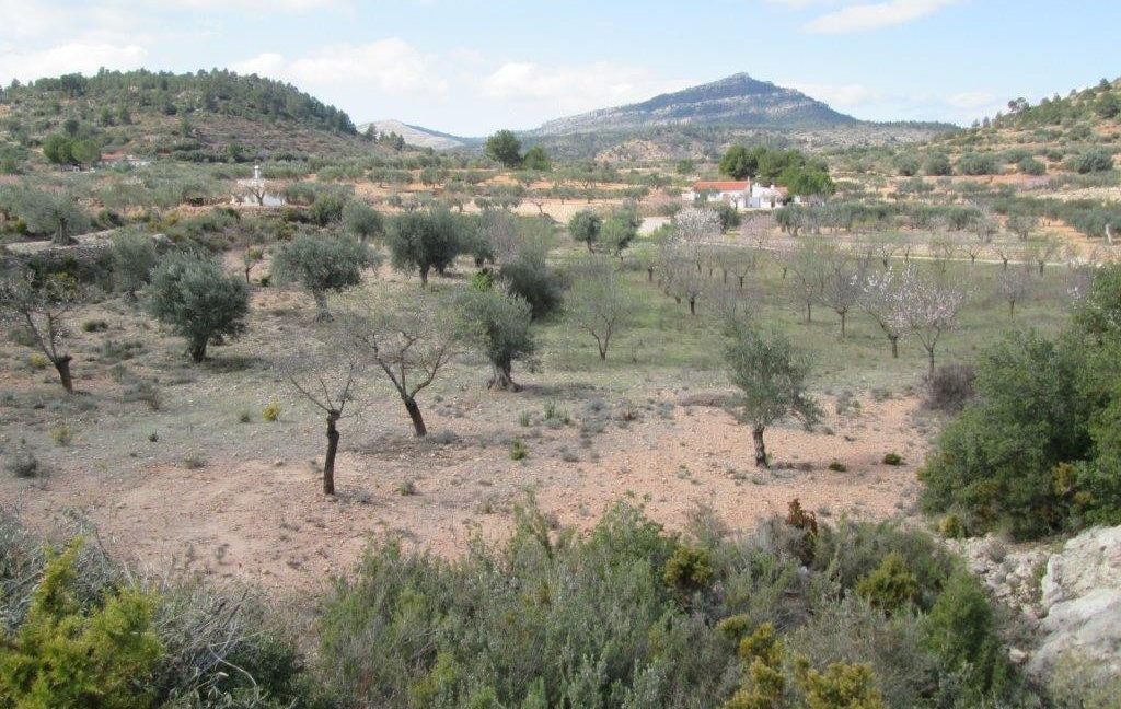 Land-Ayora-128-132-004-1024x768