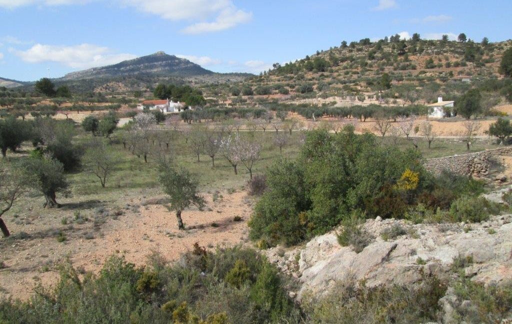 Land-Ayora-128-132-005-1024x768