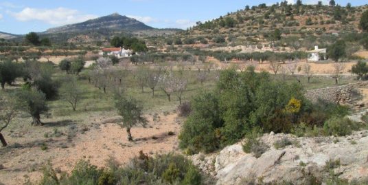 VPS 130 – Land in Ayora