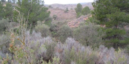 VPS 080 – Development Land in Jarafuel