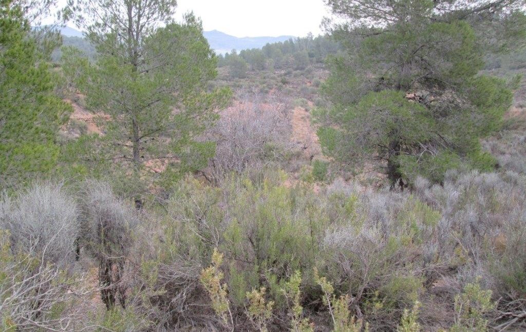Land-Jarafuel.-Asador.-Land-Zarra-004-1024x768