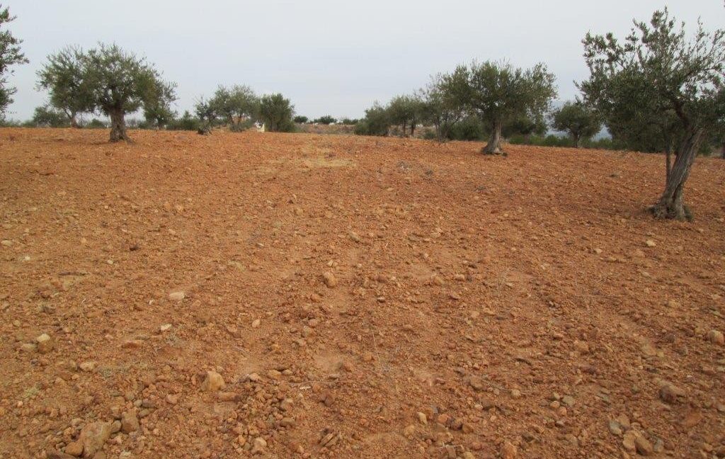 Land-Jarafuel.-Asador.-Land-Zarra-008-1024x768