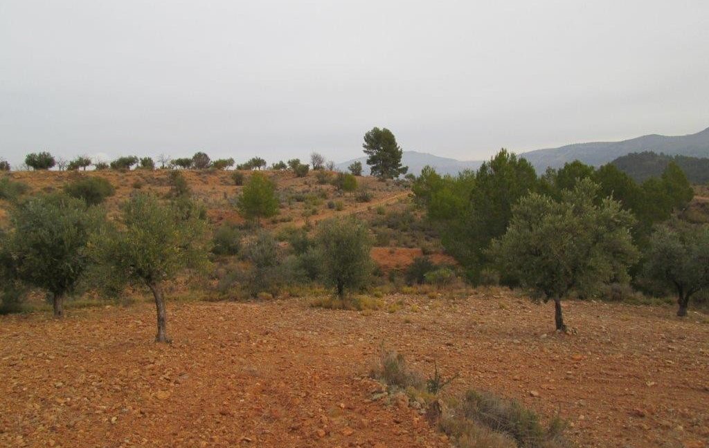 Land-Jarafuel.-Asador.-Land-Zarra-009-1024x768
