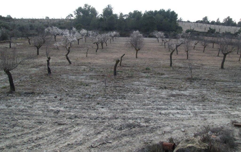 Land-Jarafuel.-Asador.-Land-Zarra-071-1024x768