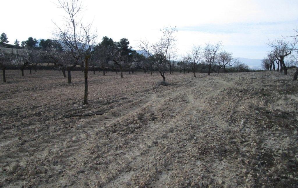 Land-Jarafuel.-Asador.-Land-Zarra-073-1024x768