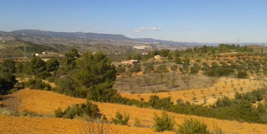 VPS 047 – Plot of Land Teresa de Cofrentes