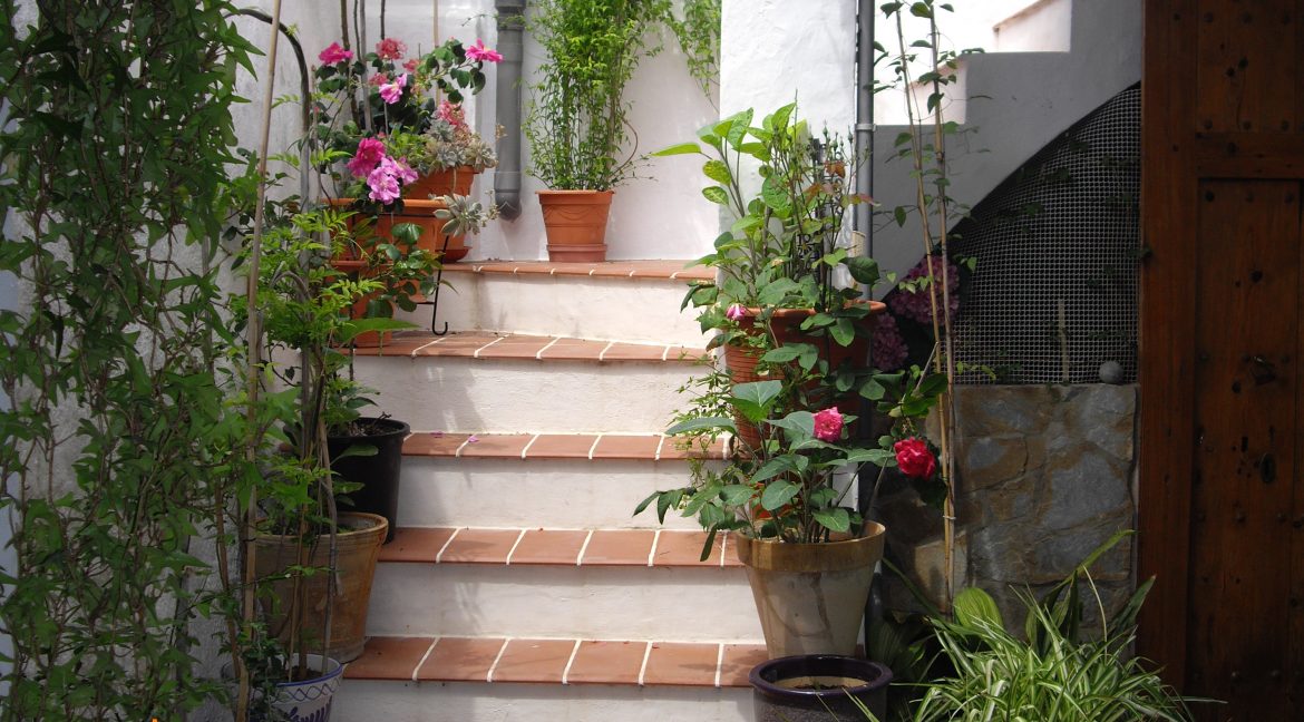 STAIRS FROM CORRAL TO TOP TERRACE.