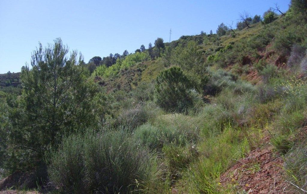 VPS-045-development-land-001-1024x768