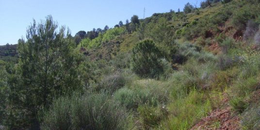 VPS 045 – Land in Zarra