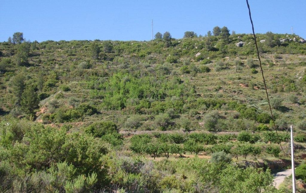 VPS-045-development-land-006-1024x768
