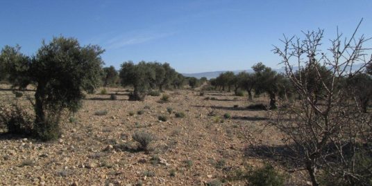 VPS 091 – Development Land Caudete