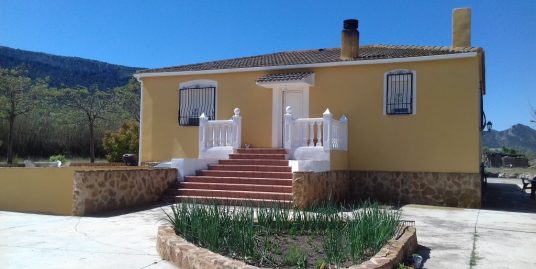 VPS 307 – Country House in Biar