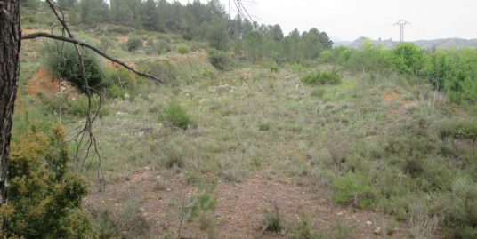 VPS 305 – Plot of land in Teresa de Cofrentes