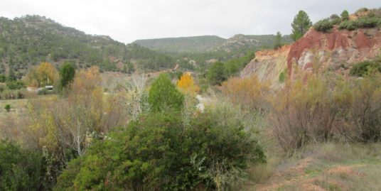 VPS 357 – Land in Cofrentes Campo