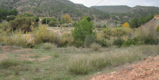 VPS 358 – Land in Cofrentes Campo
