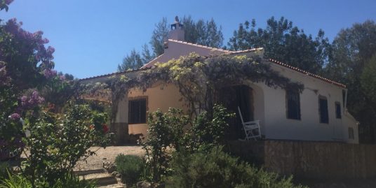 VPS 365 – Country House in Anna
