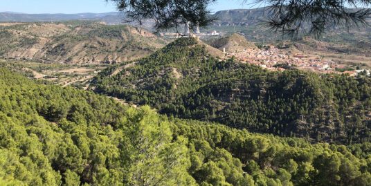 VPS 550 – Land near the river of Jalance