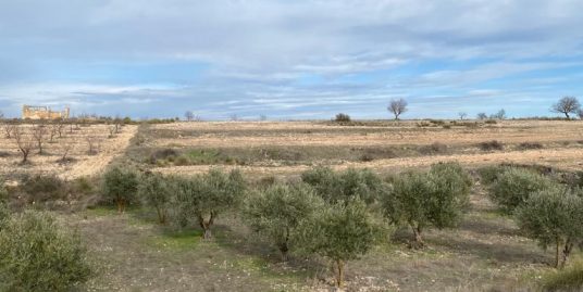 VPS 568 – Land in Alcala del Jucar – Las casas del cerro
