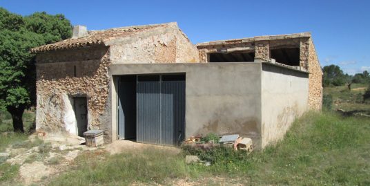 VPS 435- Finca in Jalance