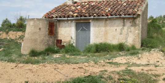 VPS 439- Olive Plantation Land in La Font de la Figuera