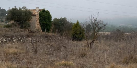 VPS 615- Ground in Cofrentes