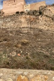 VPS 622 – Ground in Ayora