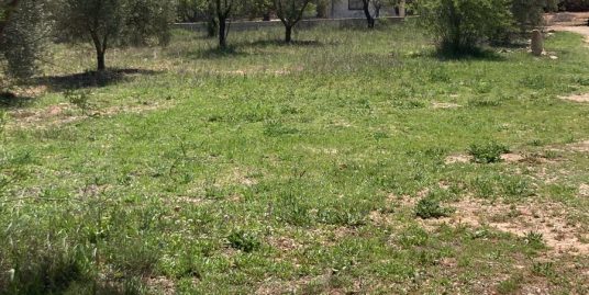 VPS 639 – Land in Jarafuel