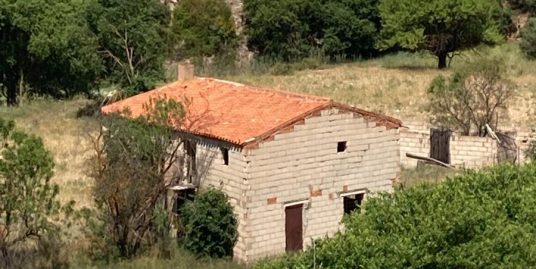 VPS 649 – Land in Teresa de Cofrentes