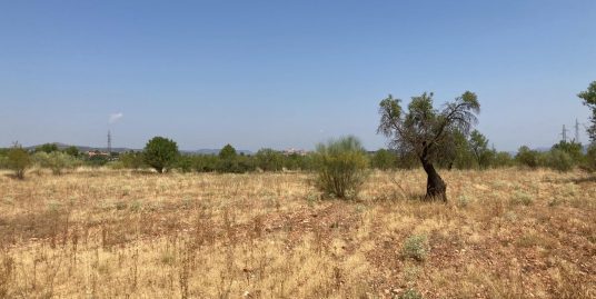 VPS 673 –  Land in Ayora