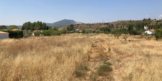 VPS 674 –  Land in Ayora
