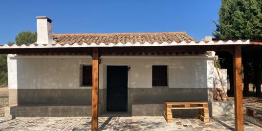 VPS 682 – Finca in Almansa