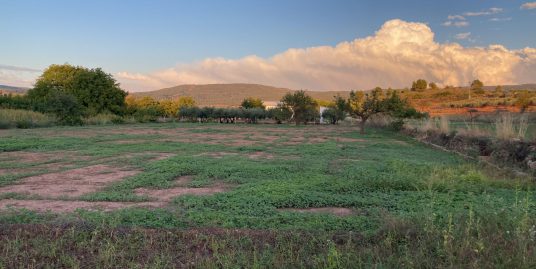 VPS 683 – Country house in Ayora