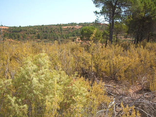 PHOTO-2022-11-07-12-04-03 2