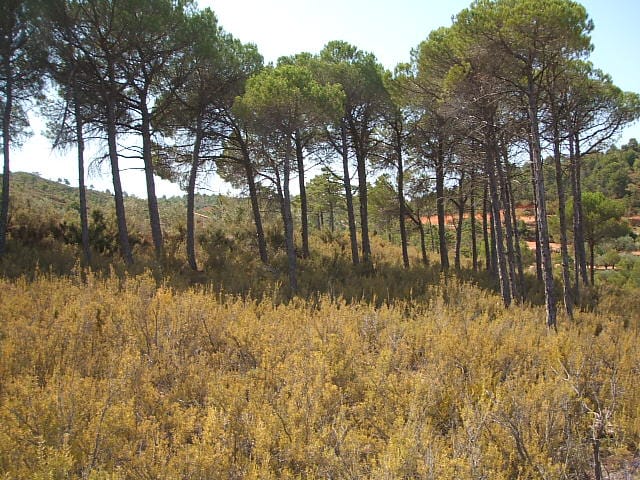 PHOTO-2022-11-07-12-04-03 4