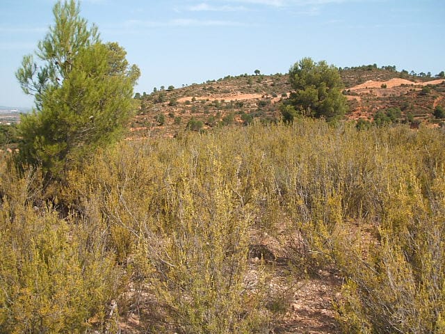 PHOTO-2022-11-07-12-04-04 4