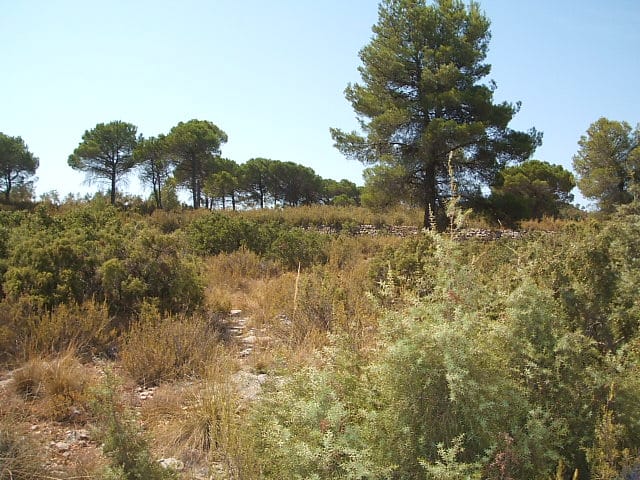 PHOTO-2022-11-07-12-04-04 5