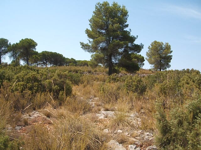 PHOTO-2022-11-07-12-04-04 7