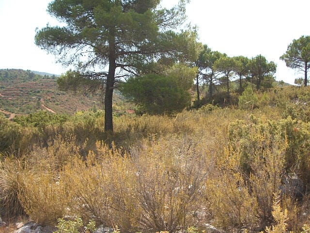 PHOTO-2022-11-07-12-04-05 3
