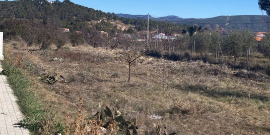 VPS 707 – Urban Land in Ayora