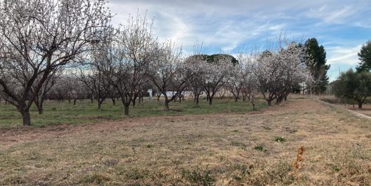 VPS 712 – Land in Ayora