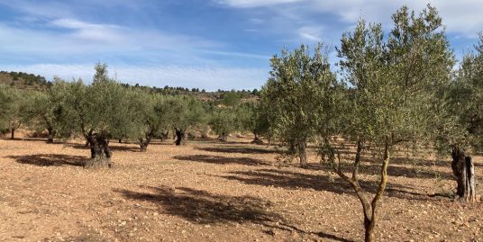 VPS 721 – Land in Ayora