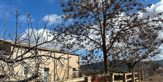 VPS 745 – Country house in Ayora