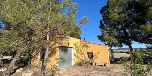 VPS 757 – Country house in Almansa