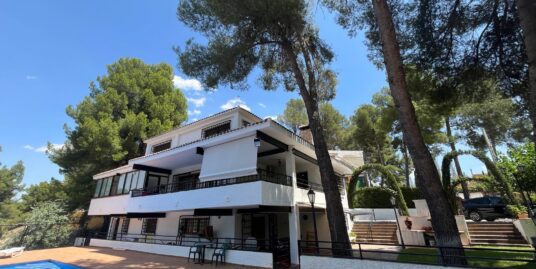 VPS 760 – Chalet in Almansa (REDUCED)