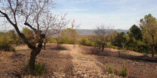 VPS 772 – Land in Ayora