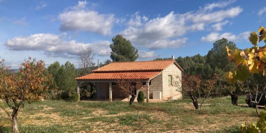 VPS 779- Country House in Ayora